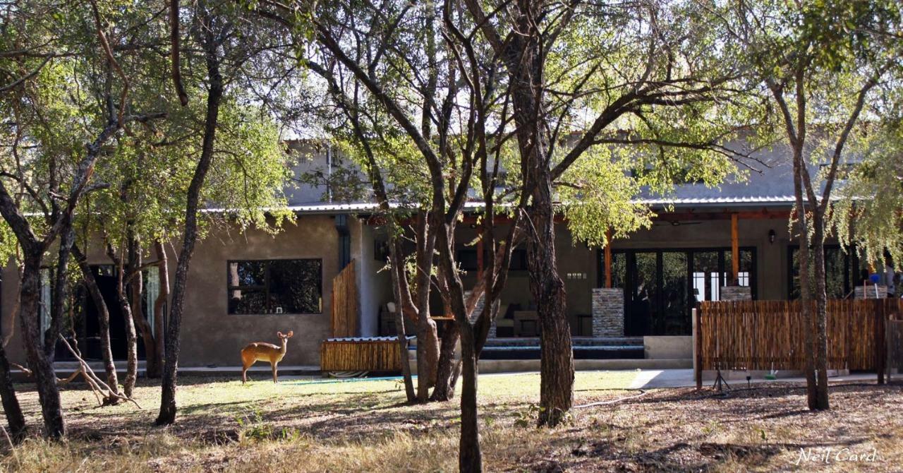 Dream Of Africa Bush Lodge Marloth Park Esterno foto